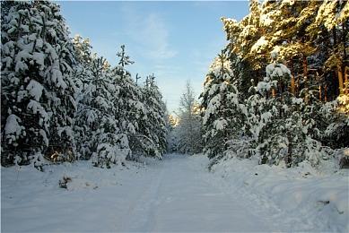 《异人之下》2月28日PreA测启动 3D动作格斗